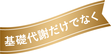 基礎代謝だけでなく