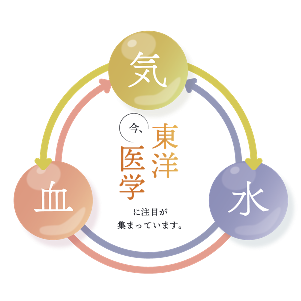 今 東洋医学