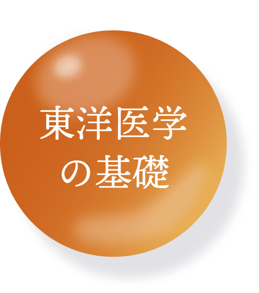 東洋医学の基礎