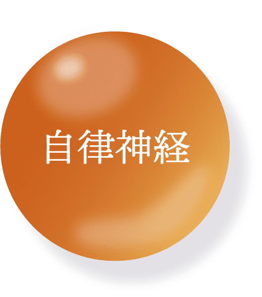自律神経